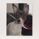 Search for chihuahua puzzles Pet