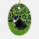 Search for domestic shorthair cat christmas tree decorations Pet