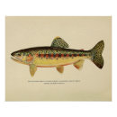 Search for vintage fly fishing art River