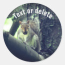 Search for squirrel stickers Wildlife