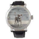 Search for lab photography Pet