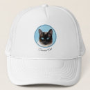Search for siamese hats Kitten
