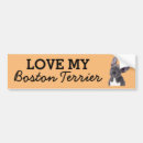 Search for boston terrier bumper stickers Pets
