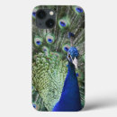Search for peacock samsung cases Bird