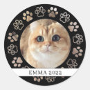 Search for minimalist cat stickers Keepsake