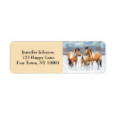 Search for paint horse return address labels Stallion