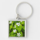 Search for hardwood key rings Forest