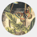 Search for vision studio stickers Butterflies