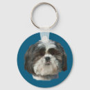 Search for shih tzu accessories White