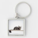 Search for board the key rings Cute