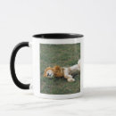 Search for african animals mugs Kenya