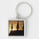 Search for for asia key rings Sunset