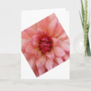 Search for summer rain cards Pink