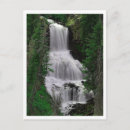 Search for wyoming postcards Geyser