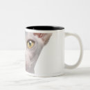 Search for cut up drinkware Domestic cat