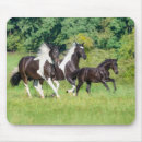 Search for horses galloping electronics Running