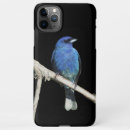Search for songbirds iphone cases Nature