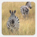 Search for wild grass stickers Wildlife