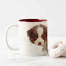 Search for australian shepherd mugs Puppies