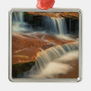 Search for zion national park christmas tree decorations Canyon