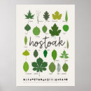 Search for biodiversity posters Nature