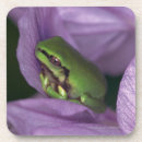 Search for tree frog barware Close up