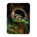 Search for racoon magnets Woodland
