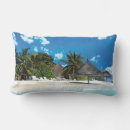 Search for exotic cushions Summer