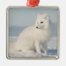 Search for refuges christmas tree decorations Steve kazlowski