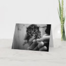 Search for mew cards Cute