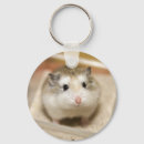 Search for stare at key rings Animal