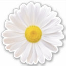 Search for shasta stickers Floral