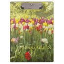 Search for spring bloom photography Tulips