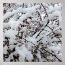 Search for first snow posters Winter