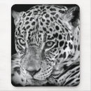 Search for black jaguar mousepads Cat