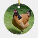Search for feathers christmas tree decorations Plumage