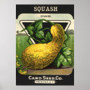 Search for squash art Retro