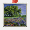 Search for meadow christmas tree decorations Texas bluebonnet