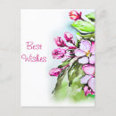 Search for apple blossoms postcards Pink
