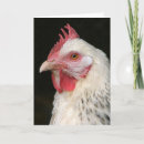 Search for hens cards Animal