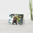 Search for vasectomy cards For him