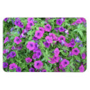 Search for petunia magnets Nature
