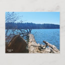 Search for hidden postcards Nature