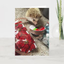 Search for funny hedgehog cards Pet
