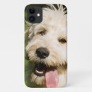 Search for goldendoodle iphone cases Mix breed