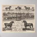 Search for james art Text