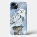 Search for snowy owl cases Animals
