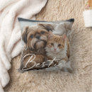 Search for bff cushions Dog