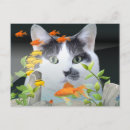 Search for peer postcards Cat
