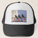 Search for crow hats Birds
